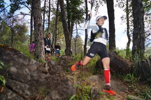 BIB: 
                            <button type="button" onclick="openModal(18965183)" class="btn btn-primary btn-sm float-right btn-popup" data-toggle="modal" data-target=".modal-high-quality">
                        <i class="fas fa-shopping-cart"></i> Add to Cart
                    </button>
                                            <button type="button" onclick="isThisMe(18965183, true)" class="btn btn-success btn-sm float-right btn-popup btn-isme hidden" data-toggle="tooltip" data-placement="bottom" title="นี่คือรูปของคุณใช่ไหม คลิกที่นี่เพื่อเอาเข้าอัลบั้ม">
                        <i class="fas fa-plus"></i> Add to album
                    </button>
                    <button type="button" onclick="isThisMe(18965183, false)" class="btn btn-warning btn-sm float-right btn-popup btn-isnotme hidden">
                        <i class="fas fa-ban"></i> Remove from album
                    </button>